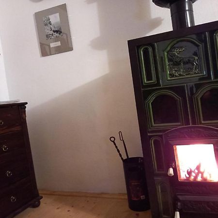 Galeria Turismului Montan Hostal Cîrţişoara Exterior foto