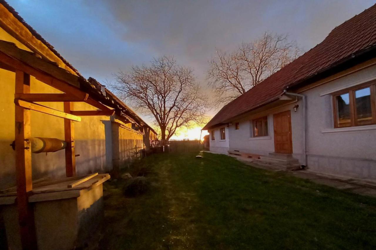 Galeria Turismului Montan Hostal Cîrţişoara Exterior foto