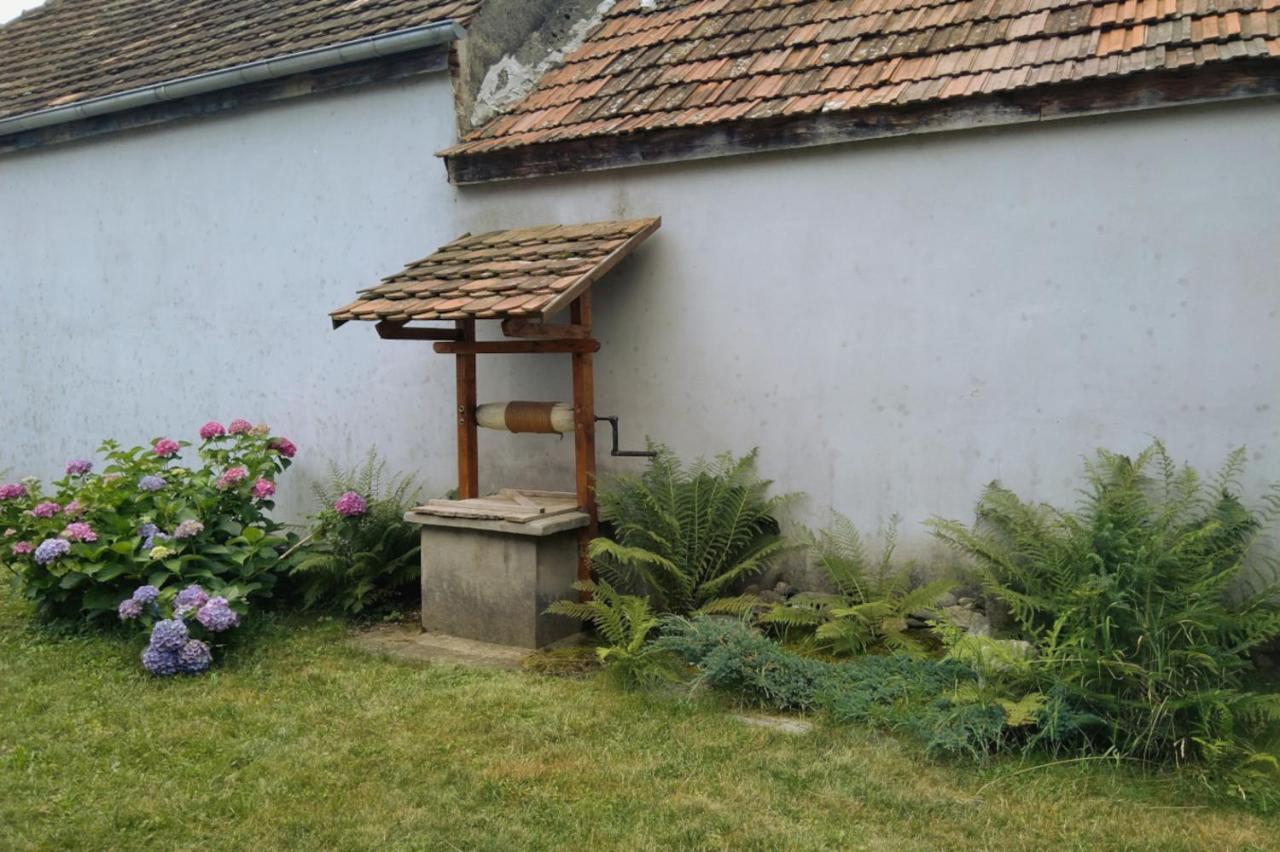 Galeria Turismului Montan Hostal Cîrţişoara Exterior foto