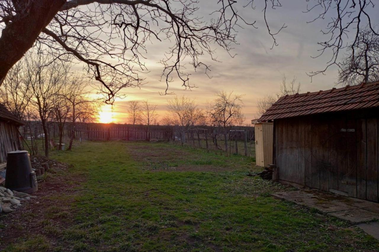 Galeria Turismului Montan Hostal Cîrţişoara Exterior foto