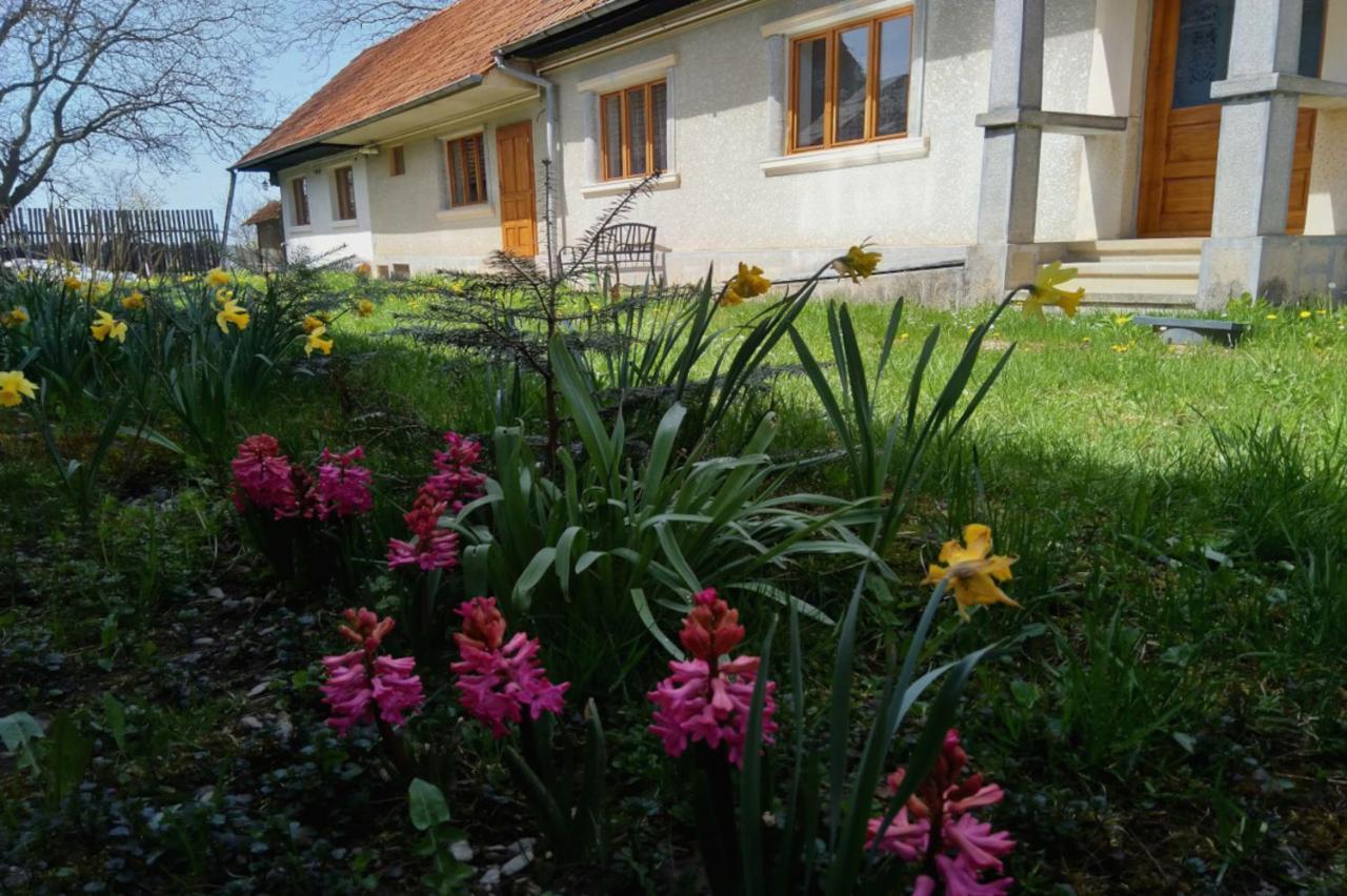 Galeria Turismului Montan Hostal Cîrţişoara Exterior foto