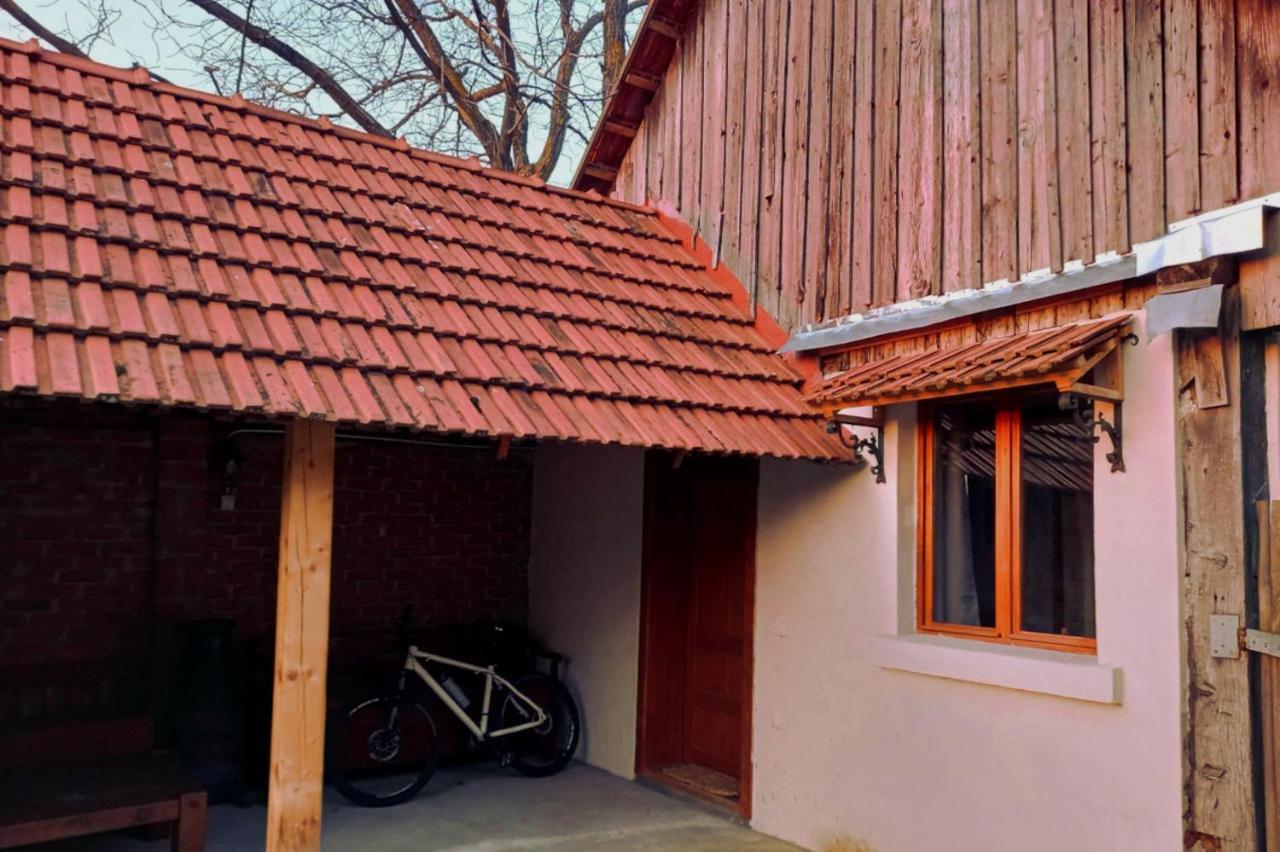 Galeria Turismului Montan Hostal Cîrţişoara Exterior foto