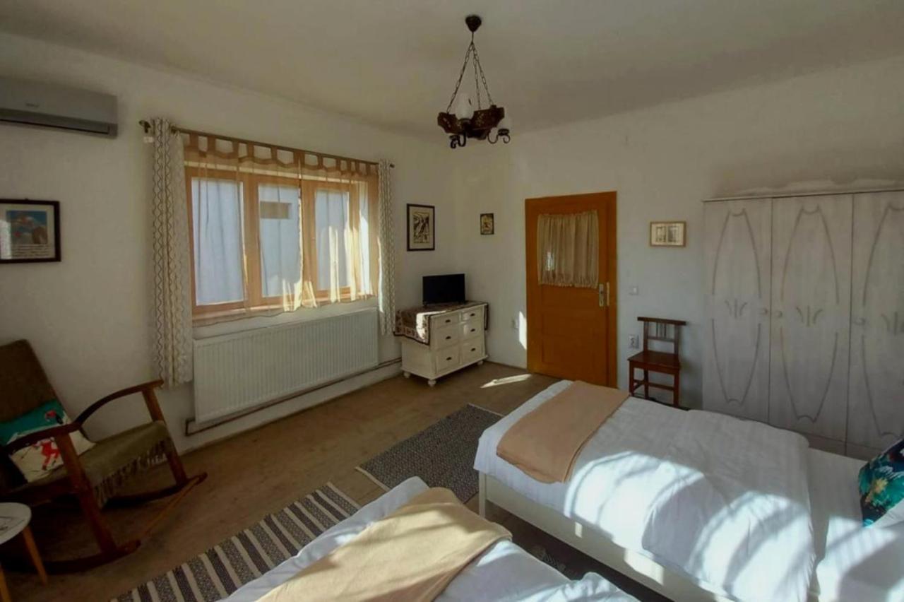 Galeria Turismului Montan Hostal Cîrţişoara Exterior foto