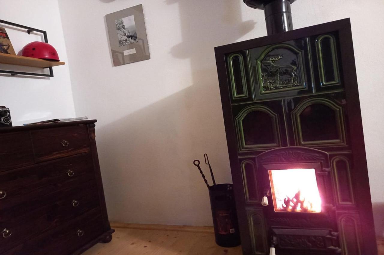 Galeria Turismului Montan Hostal Cîrţişoara Exterior foto